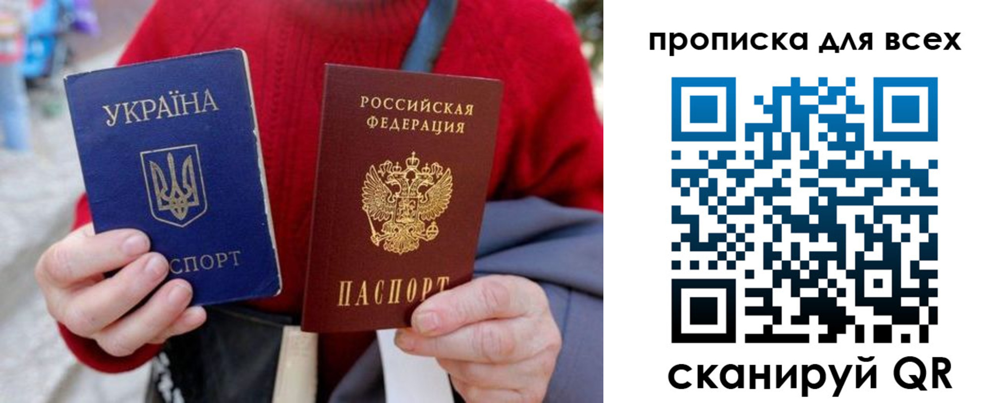 прописка поиск в Курской области